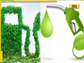 Ethanol and Petrol: The Mix That's Reshaping India's Energy Future