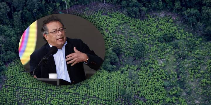 Gustavo Petro se anticipó a informe Simci de la ONU y confirmó aumento de cultivos de coca en Colombia para 2024: “Solo 3%”