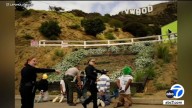 6 people arrested for attempting to hang banner on Hollywood sign, LAPD says