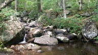 More than 100 acres protected from development in Roan…