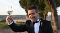 El brindis de Banderas tras la boda de su hija: "Gracias a la gente de Valladolid y los pueblos por lo bien que se han portado"