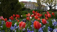 Nearly a century later, a look back at the history of Cheekwood