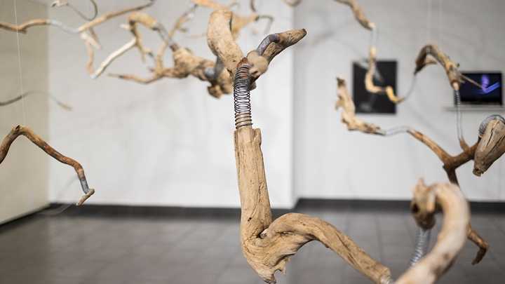 Patricia Belli, Premio Velázquez de Artes Plásticas 2025