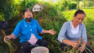 Mujeres indígenas rescatan cosecha de cacahuate en Zacatepec sin recibir pago