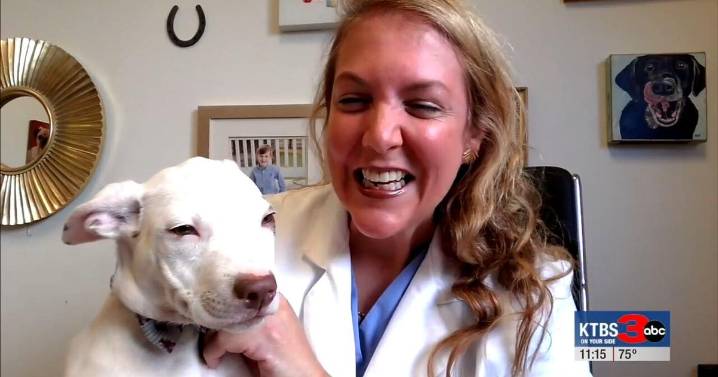 Paws to Care: Robinson’s Rescue shares how you can help local pets this fall