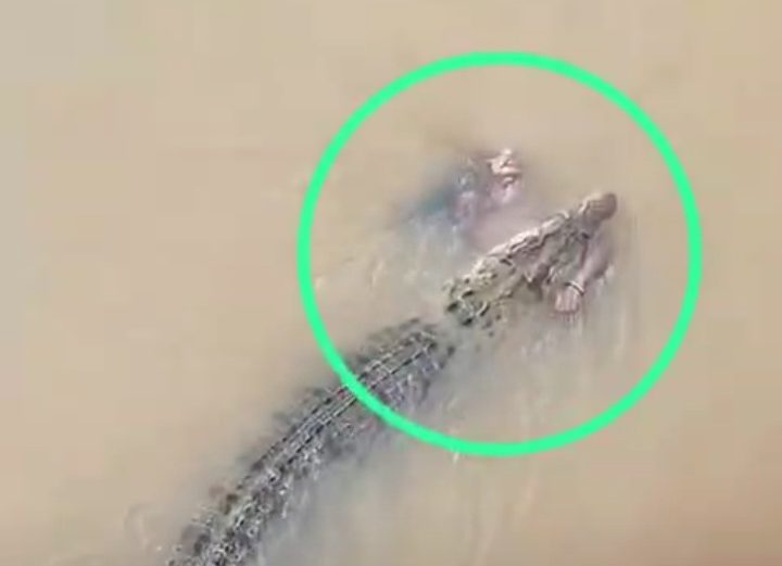 Odisha: Crocodile drags woman into Kharasrota