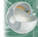 Tecnología permite leer sin visión