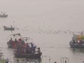 Siberian birds arrive at Prayagraj Sangam, delighting locals