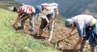 PBI de Perú disminuyó su ritmo de crecimiento por tercer mes consecutivo en agosto y creció 3.18%
