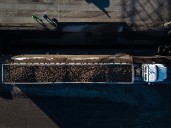 Sugar beet farmers race to harvest 2025 crop