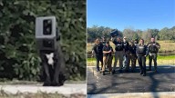 Rescuers Shocked To Find Alabama Dog Survived For A Year With Container Stuck On Head