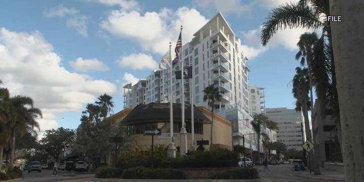 What’s happening around the Suncoast this weekend