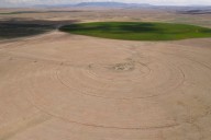 Farmers, ranchers cut back Colorado River water use in dry year