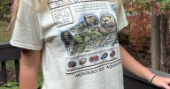 Taylor Swift's vintage T-shirt sparks a $2M windfall for sea otters
