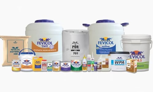 Pidilite Q2 Results: Profit up 8%, misses estimates; double