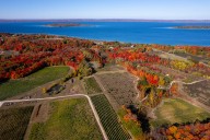 Old Mission wineries consider lowering $50M settlement if township changes noise, event rules