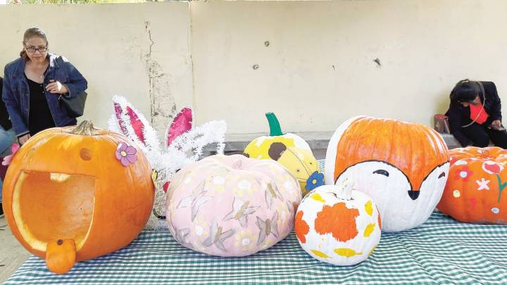 Alumnos de la Secundaria General 7 crean arte y celebran Día de la Calabaza