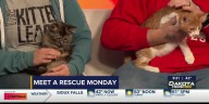 Meet A Rescue Monday: Rhiannon and Ridoc