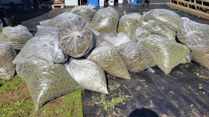 Dropped 9-1-1 call results in $1 million drug seizure