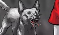 School students among 14 injured in dog attack in Tiruchendur