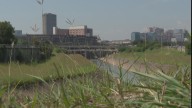 What we know about the bodies recovered from Houston bayous