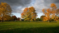Peak times to see fall colors in Illinois, from Rockford to Carbondale