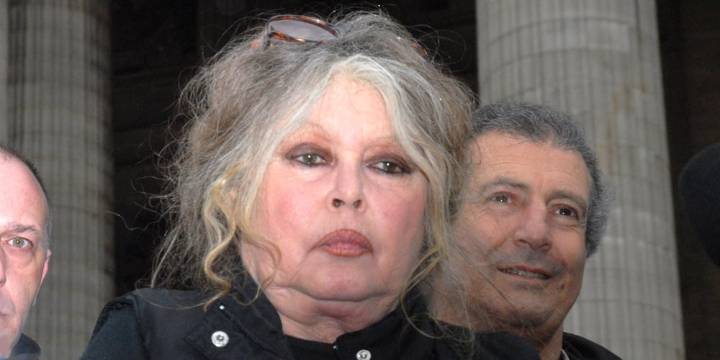 Brigitte Bardot, 91, Hospitalized in France After Surgery For ‘Serious Illness’ | Brigitte Bardot 