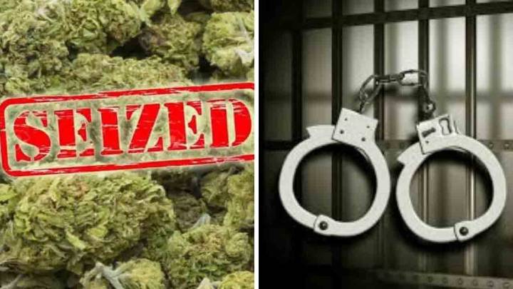 DRI Seized Ganja Worth Rs. 2.6 Crore In Vijayawada, Three People Arrested