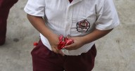 Supera sobrepeso y obesidad a la desnutrición en México