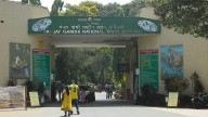 All In The Name Of Development