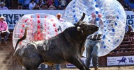 From hobbycraft sales to sponsorships, it’s a bull market every October at Angola’s prison rodeo