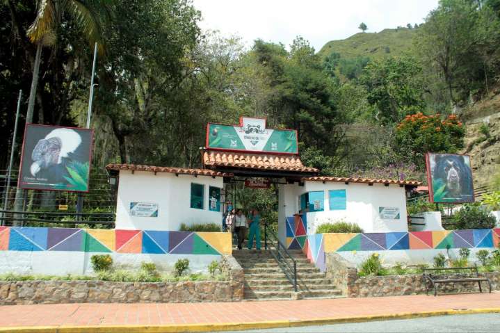 Mérida celebrará el aniversario del zoológico Chorros de Milla