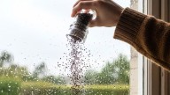Por qué se recomienda espolvorear pimienta en las ventanas de casa: truco casero efectivo