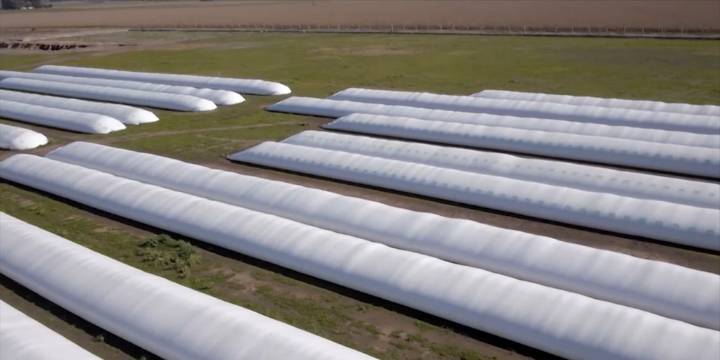El silobolsa, una innovación argentina que cambió la forma de guardar granos