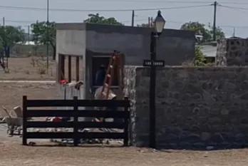 Vecinos de Campo Quijano construyeron su propia garita policial para frenar los robos