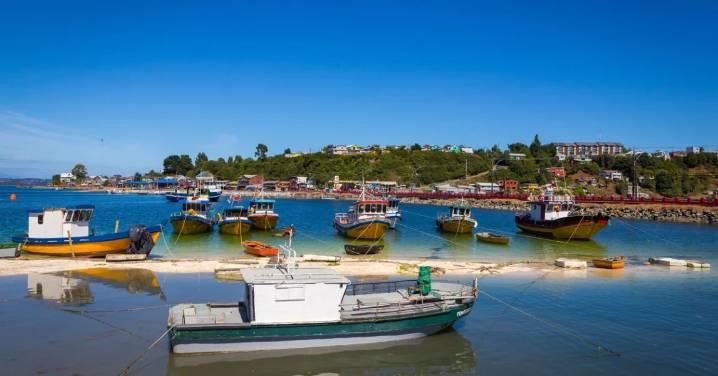 Pesca artesanal pide acceso a nuevas pesquerías ante escasez de la jibia e impacto económico local