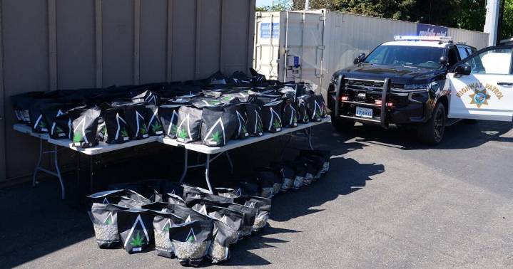 Over 200 pounds of cannabis found in traffic stop on I