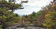 6 easy to moderate hikes to see fall foliage in the Catawba Valley and along the Blue Ridge