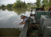 The U.S. and Canada's common enemy: invasive and voracious carp