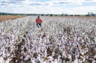 Quimilí: realizan una jornada a campo para productores de la región