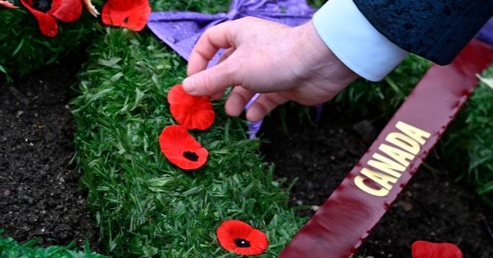 Government backtracks on new Remembrance Day wreath policy