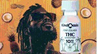 Best CBD & THC Picks for 2025: Gummies, Drinks & More