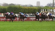 Qatar Prix de l'Arc de Triomphe: Jamie Lynch's horse-by-horse guide to Sunday's big race at Longchamp
