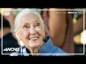 Jane Goodall, the celebrated primatologist and conservationist, has died