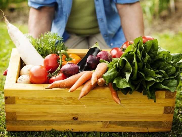 Alimentos gratis en Dallas: dónde darán comida gratis en Texas en octubre 2025