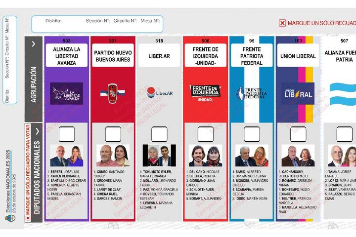 Sacar la cara de Espert. LLA presentó un pedido ante la Justicia para reimprimir las boletas y llevar a Santilli como primer candidato
