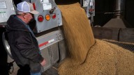 Trump threatens China with cooking oil embargo over soybean snub
