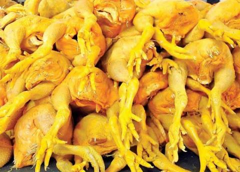 Cierran puertas al pollo "gringo"