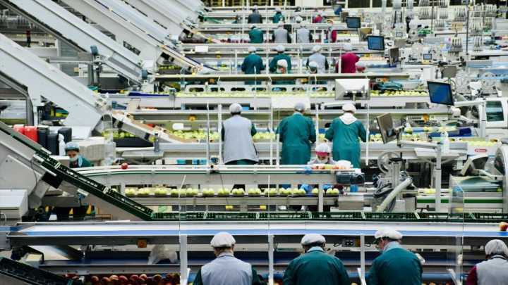 Hoy se celebra la jornada mundial por el trabajo decente: “Yo me pringo por el trabajo decente”