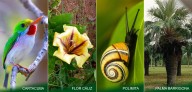 Colombia es el segundo país más biodiverso del mundo